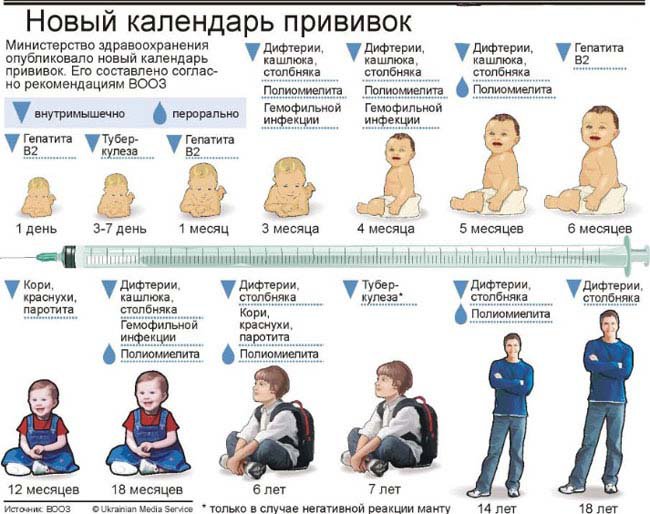 Как сделать календарь прививок Как сделать календарь прививок