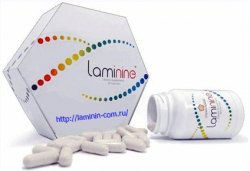    Laminine -  7