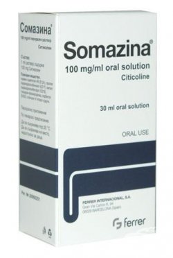Somazina    -  3
