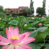 Отзыв от Елена Поленина