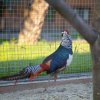 Санаторий Вернигора фото