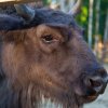 Санаторий Вернигора фото