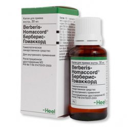 БЕРБЕРИС-ГОМАККОРД