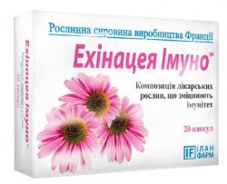 Эхинацея в ампулах инструкция. Эхинацея в ампулах.