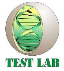 Лаборатория Тест Лаб (Test Lab)