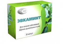 ЭВКАМИНТ