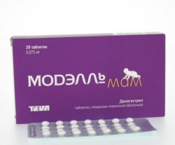 МОДЭЛЛЬ МАМ