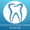 Стоматологическая клиника "Камелия"