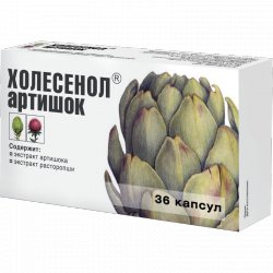 ХОЛЕСЕНОЛ АРТИШОК: Инструкция, Отзывы, Аналоги, Цена В Аптеках.