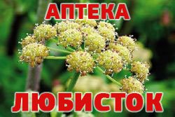 Аптека "Любисток"