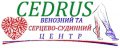 Медицинский центр "Cedrus"