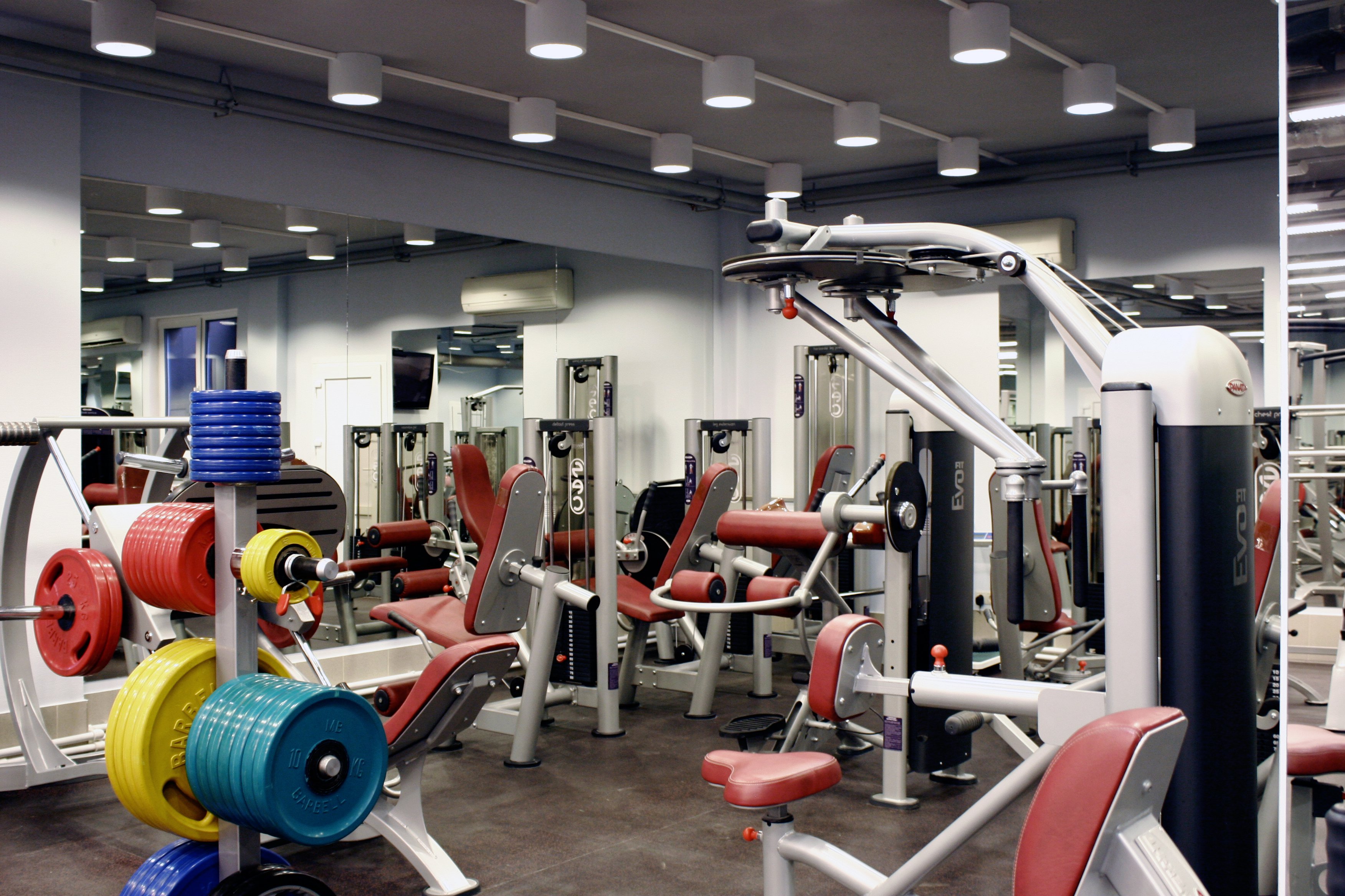 Фитнес Клуб Купить Готовый