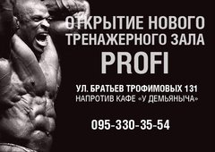 Тренажерный зал PROFI