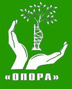 Центр "Опора"