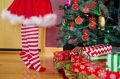 «Синдром Рождественской елки»: праздничное дерево опасно для здоровья?