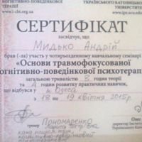 Частный кабинет психиатра-психотерапевта Андрея Мидько фото