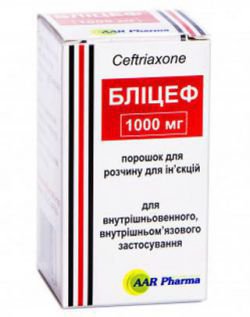 БЛИЦЕФ