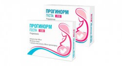 ПРОГИНОРМ ГЕСТА