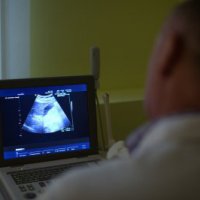 ВИП ТЕСТ. Клинико-диагностический центр фото