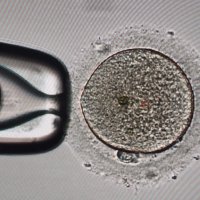 Клиника "Родинне Джерело" фото