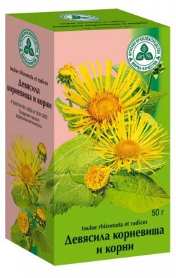 ДЕВЯСИЛА КОРНЕВИЩА И КОРНИ