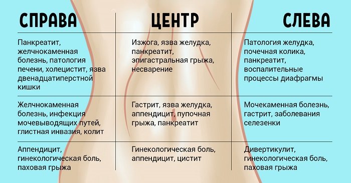 что находится в левой стороне под ребрами у человека