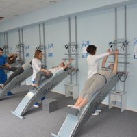 Dolphins - центр здоровья фото