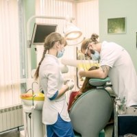 Левика фото