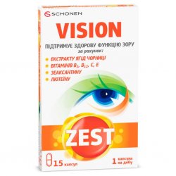 ZEST VISION
