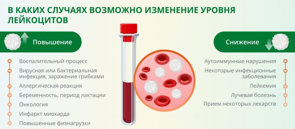 Лейкоциты в крови – что это, норма и причины отклонения Осложнения