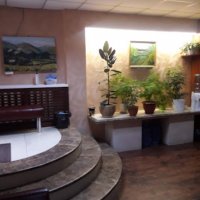 Реабилитационный центр Александра Марусича фото