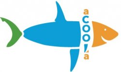Стоматологическая клиника "aCOOLa"