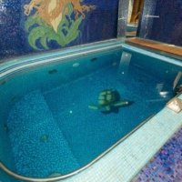 Наркологическая клиника "Платформа трезвости" фото