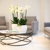 Reprolife (Репролайф) на Печерську фото