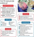 Спалах кишкових інфекцій в Україні: як уберегтися?