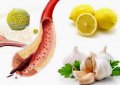 Топ-10 продуктов для очистки сосудов