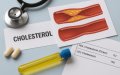 Новые рекомендации по холестерину: меньше рисков – больше контроля