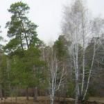Гузель Кабирова