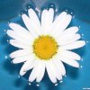 Побочные действия горного кальция Побочные действия горного кальция thumbnail