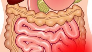 Здоровое пищеварение: советы по улучшению процесса