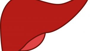 Какие признаки указывают на проблемы с печенью?