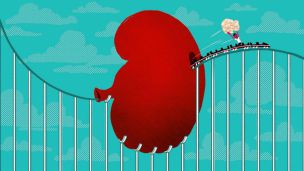 Почему образовались камни в почках и как их «вывести» из организма