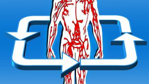 С чем связано плохое кровообращение и кто в зоне риска?