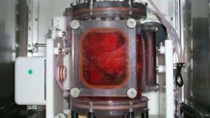 Ученые создали жизнеспособные легкие