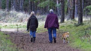 Какая категория людей меньше всех подвержена болезням сердца