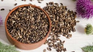 Народные средства при застое желчи