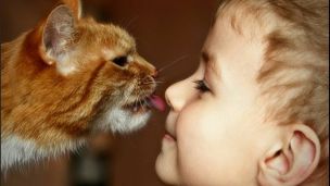 Топ-5 противогельминтных препаратов