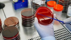 В Минздраве объяснили, почему мутирует коронавирус, и опровергли популярные фейки