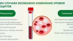 Почему в крови понижены или повышены лейкоциты
