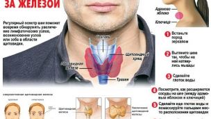 Как в домашних условиях проверить щитовидку